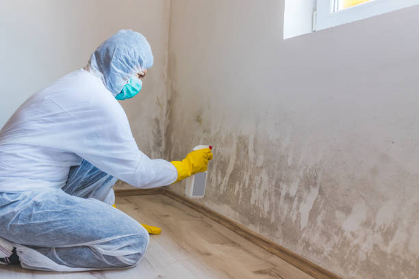 Forensic Mold Investigation in Douglasville, GA