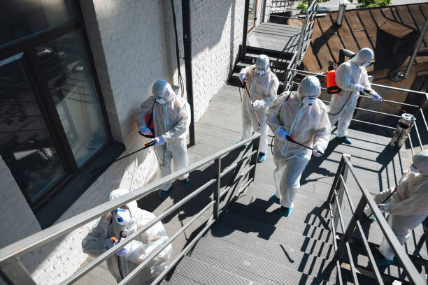 Best Mold Removal for HVAC Installations  in Douglasville, GA