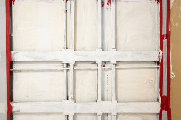 Best Basement Mold Removal  in Douglasville, GA
