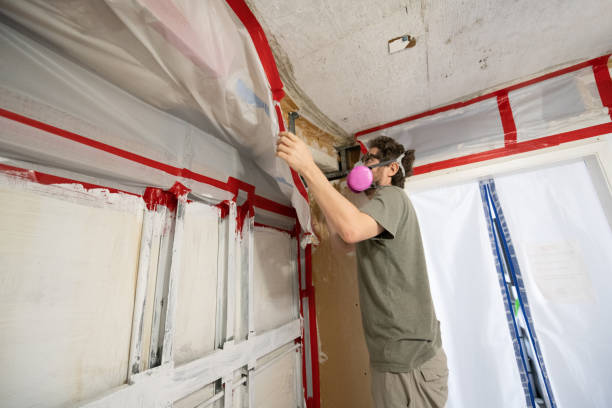 Best Comprehensive Air Testing for Mold Contaminants  in Douglasville, GA