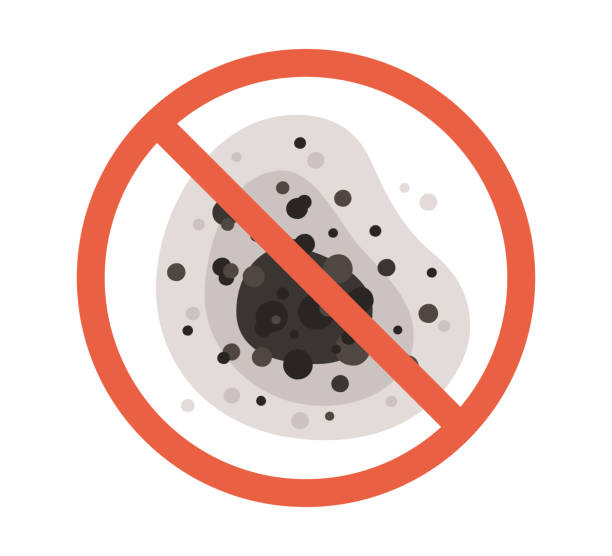 Best Mold Prevention Services  in Douglasville, GA
