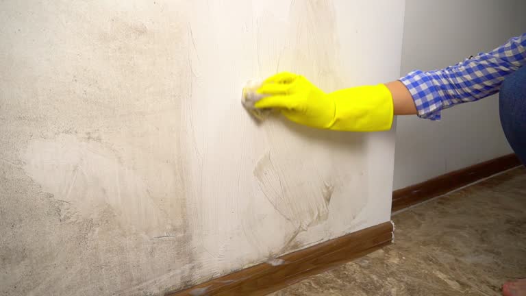 Best Mold Remediation for Healthcare Facilities  in Douglasville, GA