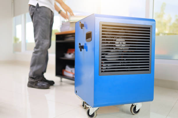 Trusted Douglasville, GA Mold Removal Experts